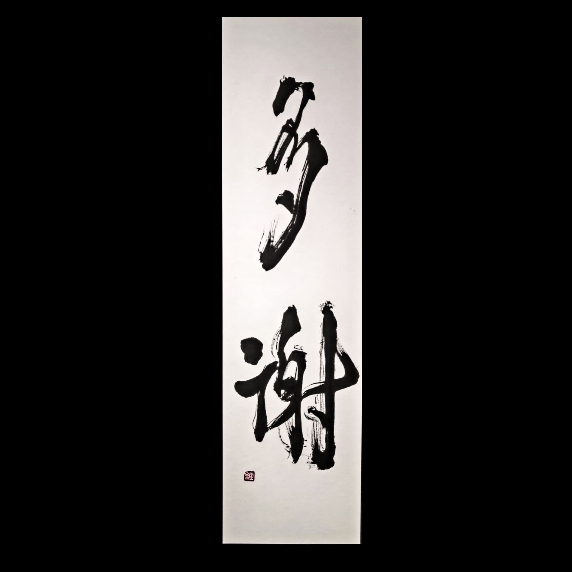 たくさんのありがとう-多謝-